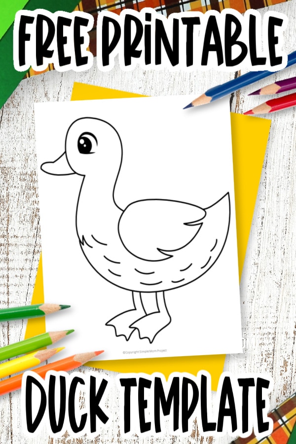Are you looking for a simple and free printable duck template for your preschool or kindergarten class? This cute and easy baby duck template is great for traceable craft activity or the large duck is wonderful for rainy day activities. Click to download this duck template today!