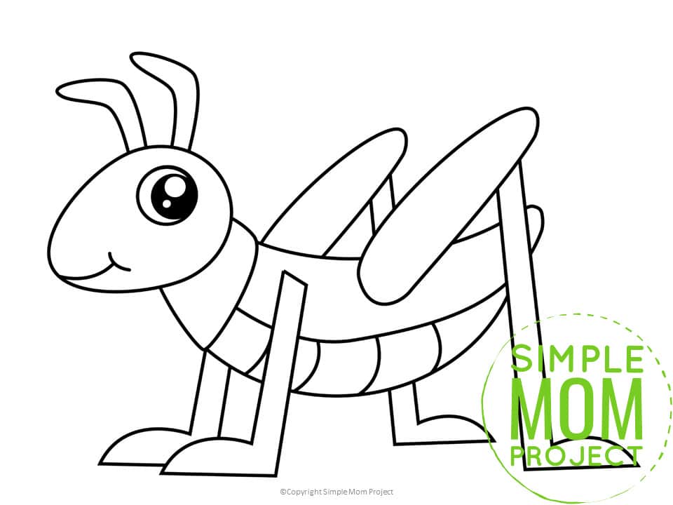 Free Printable Grasshopper template for preschoolers, toddlers, and kindergartners