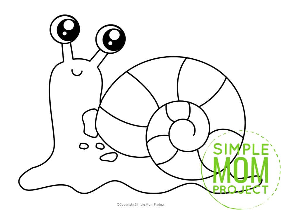 Free Printable Snail template for preschoolers, toddlers, and kindergartners