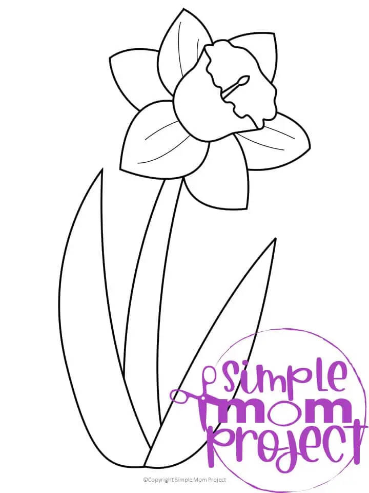 Free Printable Daffodil Flower Template for Kids, Preschooler, Kindergartner 1