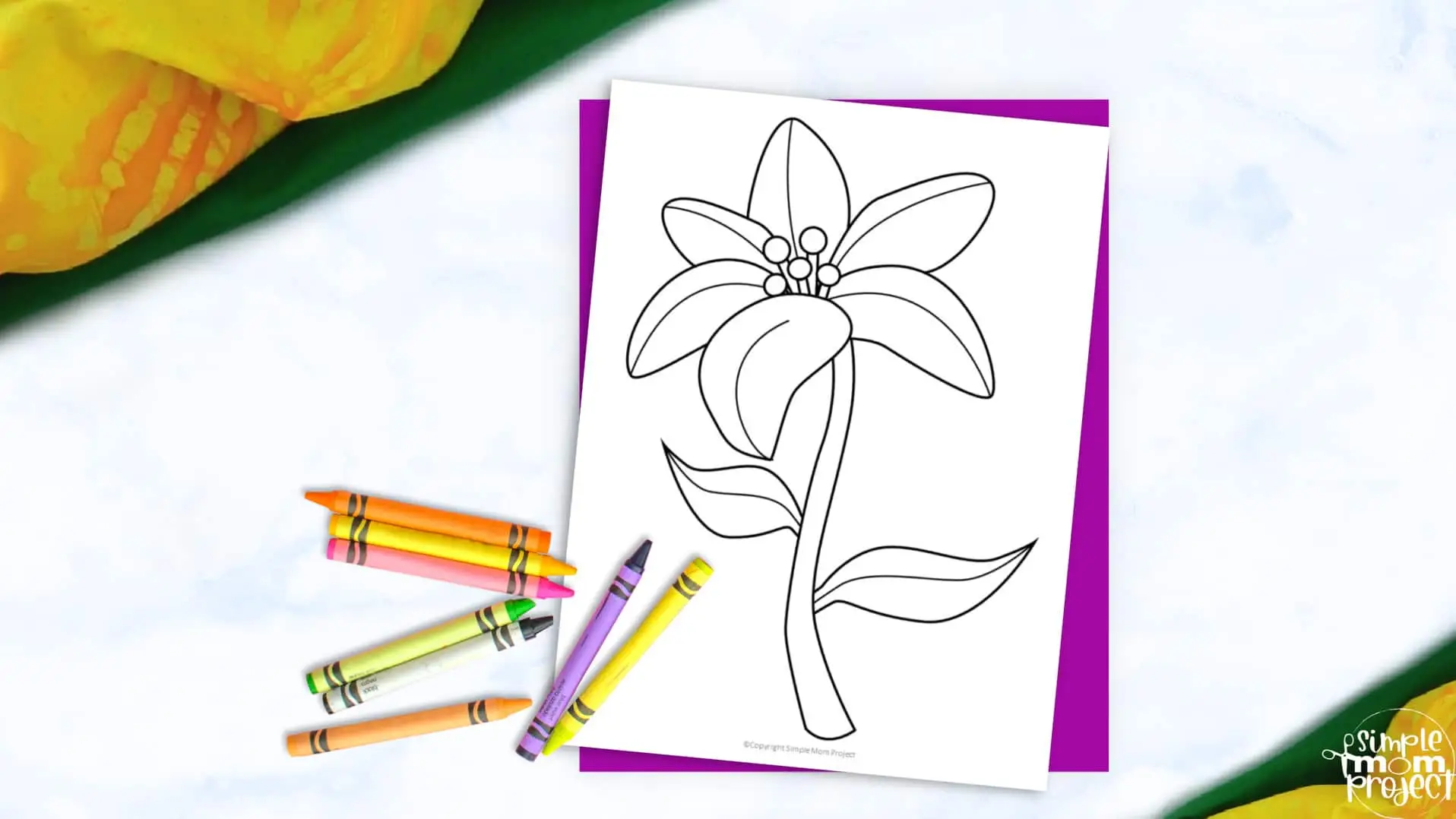 Free Printable Lily Flower Template for Kids, Preschooler, Kindergartner 2