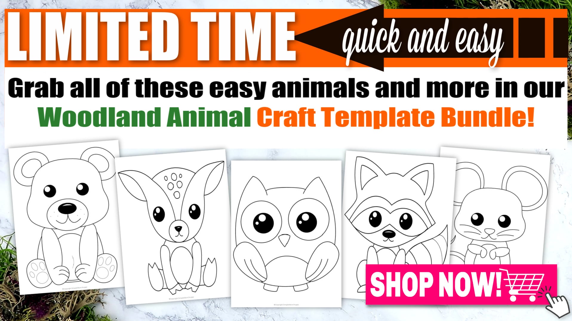 Printable Woodland Forest Bear Coloring Page for Kids Preschoolers Toddlers and kindergartners 2