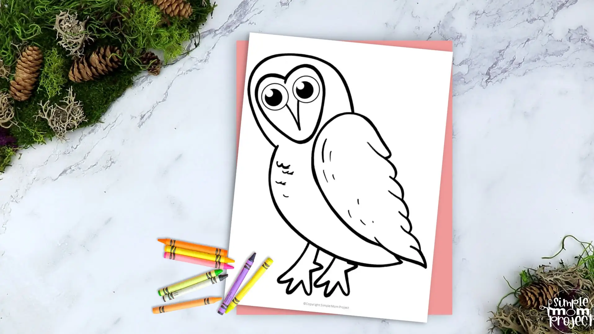 Printable Barn Owl Template Coloring Page for Kids Preschoolers Toddlers and Bird Crafts 2
