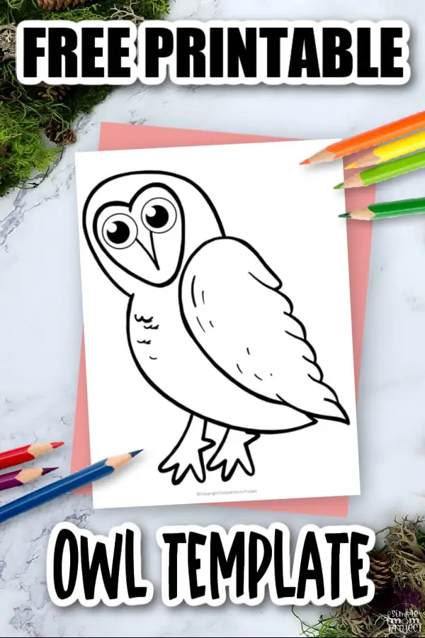 Printable Barn Owl Template Coloring Page for Kids Preschoolers Toddlers and Bird Crafts 3