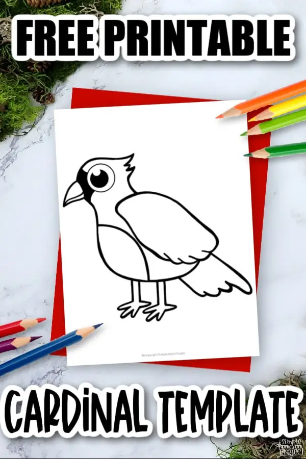 Printable Cardinal Template Coloring Page for Kids Preschoolers Toddlers and Bird Crafts 3