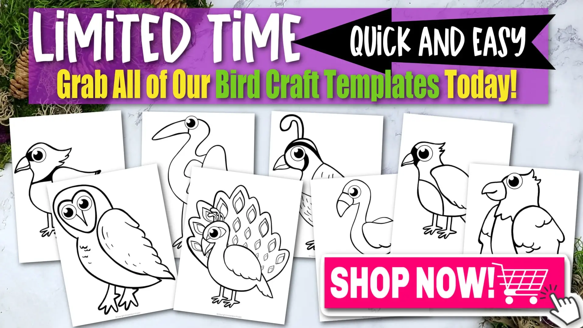 Printable Classic Bird Template Crafts for Kids, preschoolers, toddlers and kindergarten 4