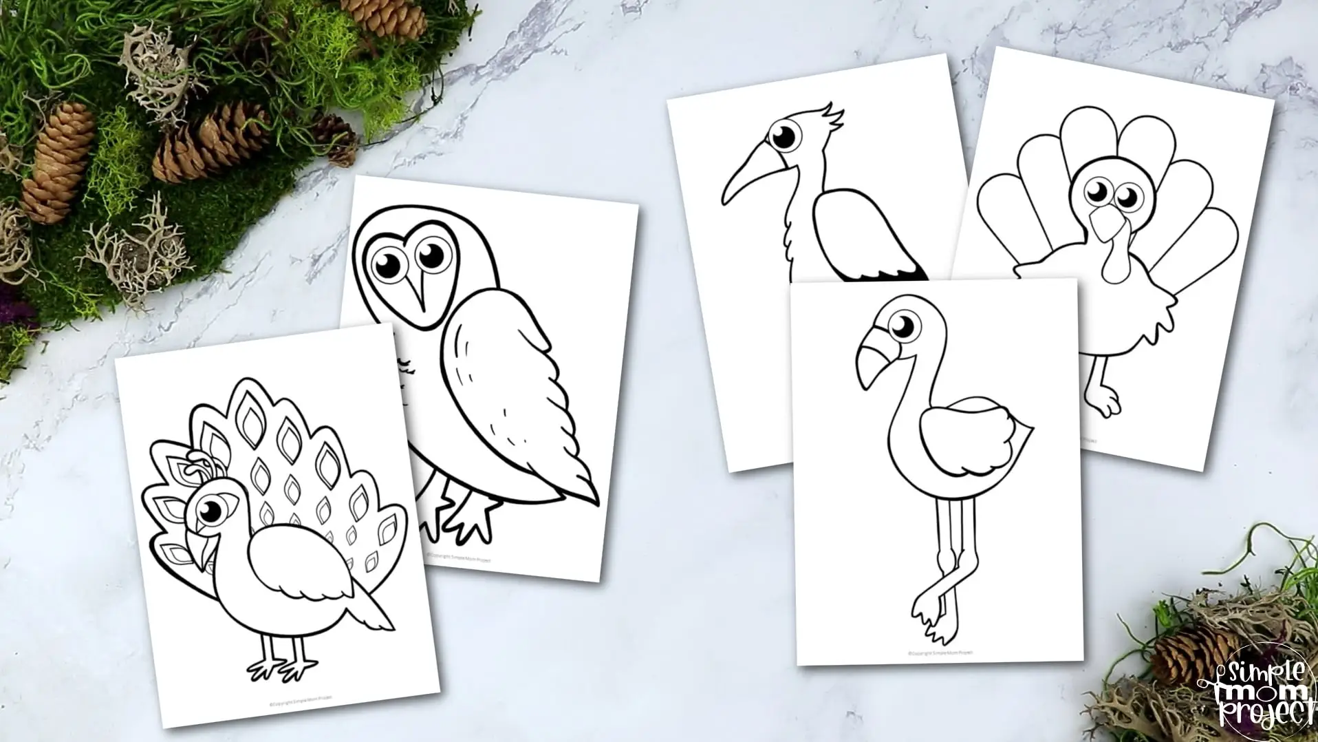 Printable Classic Bird Template Crafts for Kids, preschoolers, toddlers and kindergarten 6