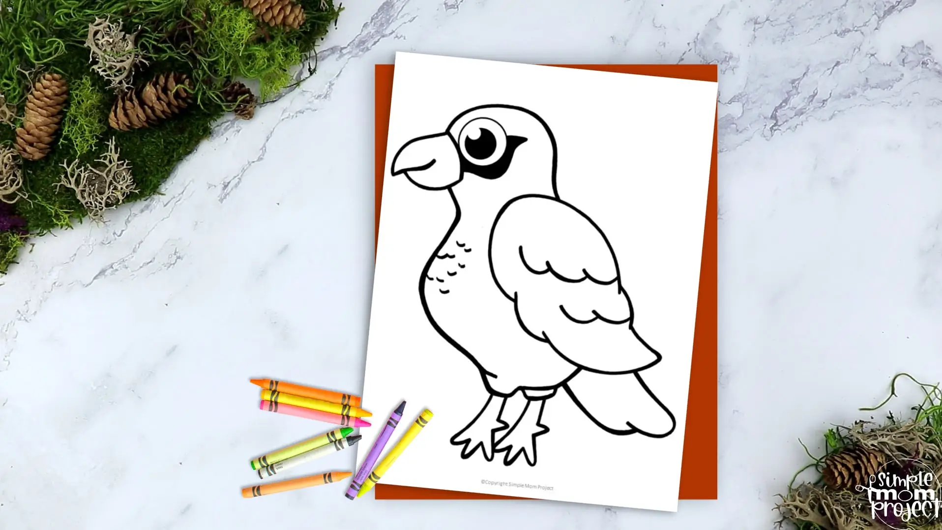 Printable Hawk Template Coloring Page for Kids Preschoolers Toddlers and Bird Crafts 2
