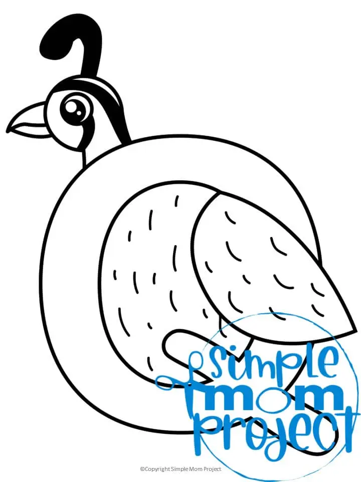 Printable Letter Q is for Quail Coloring Page Letter Q template for preschool, toddlers, kindergarten kids 1