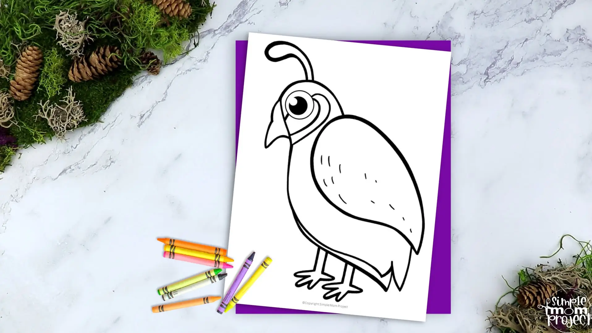 Printable Partridge Template Coloring Page for Kids Preschoolers Toddlers and Bird Crafts 2