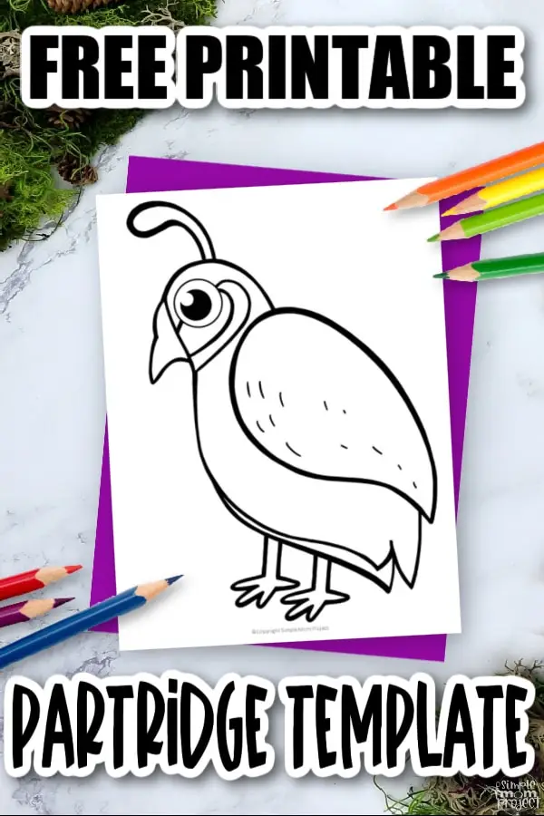 Printable Partridge Template Coloring Page for Kids Preschoolers Toddlers and Bird Crafts 3