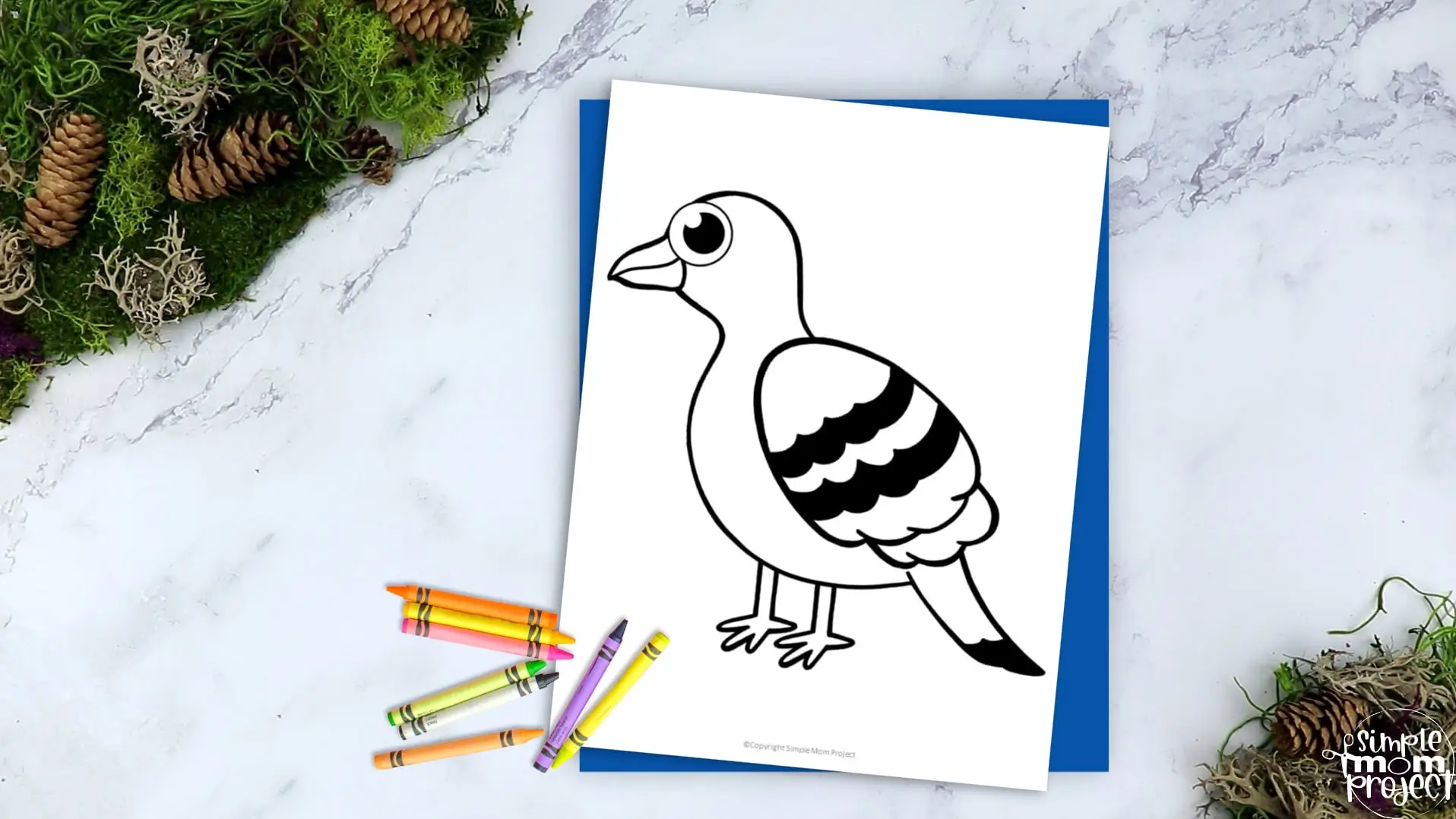 Printable Pigeon Template Coloring Page for Kids Preschoolers Toddlers and Bird Crafts 2