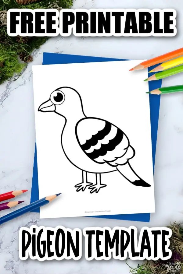 Printable Pigeon Template Coloring Page for Kids Preschoolers Toddlers and Bird Crafts 3