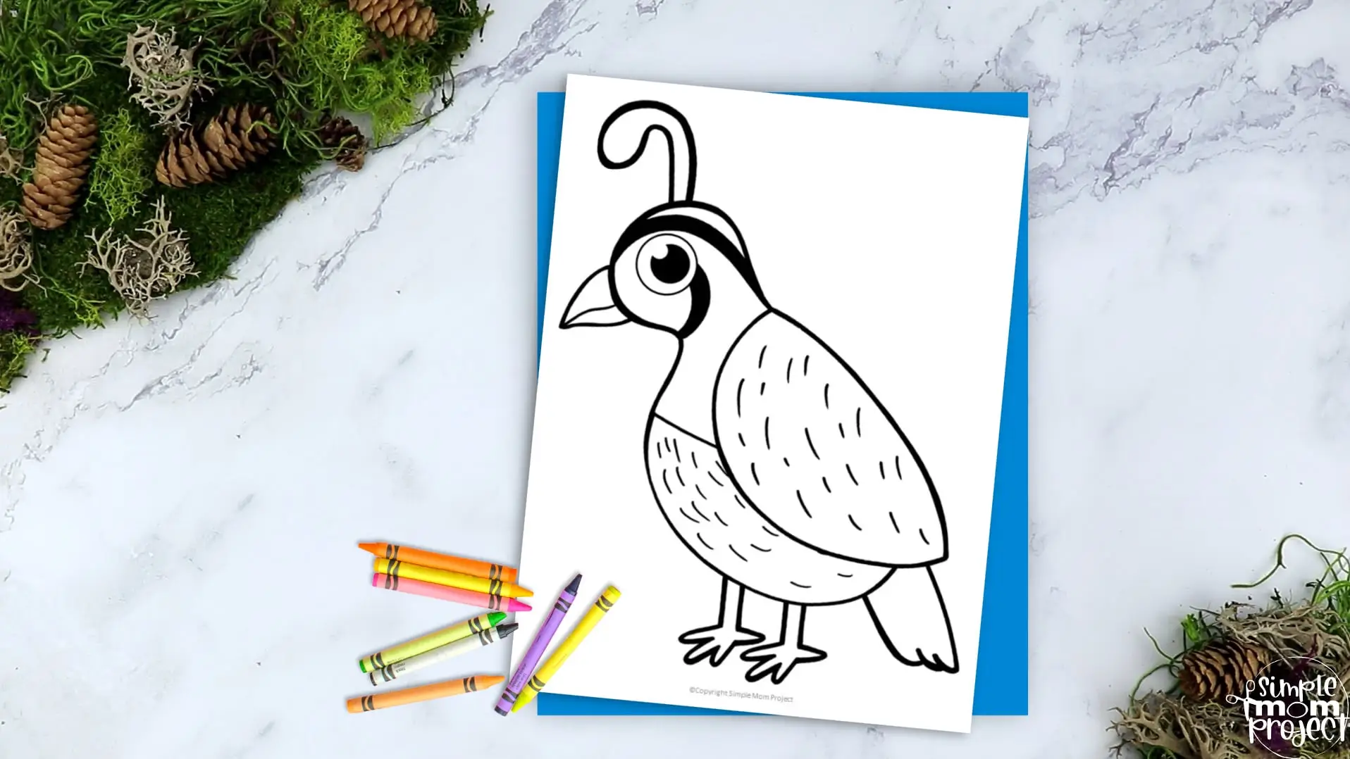 Printable Quail Template Coloring Page for Kids Preschoolers Toddlers and Bird Crafts 2