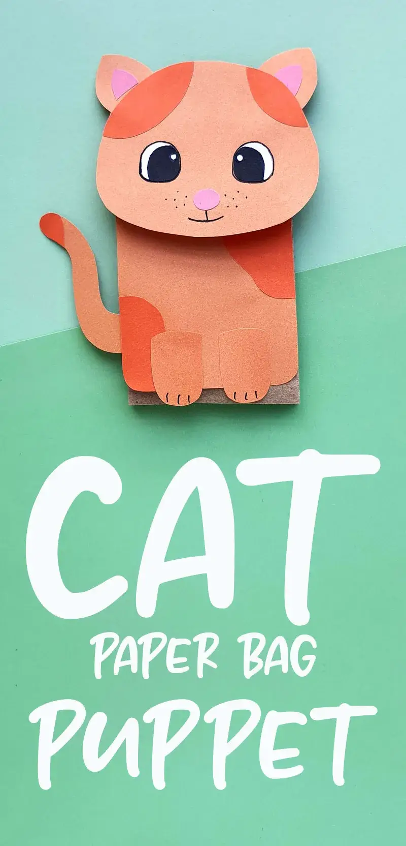 Cat Craft and Activities easy crafts for kids in a fun way for those that have a love of little cats some even black cat crafts 47