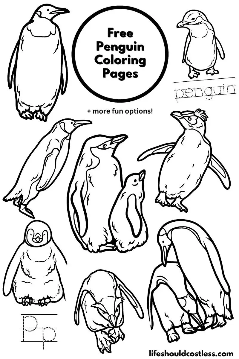 penguin coloring pages