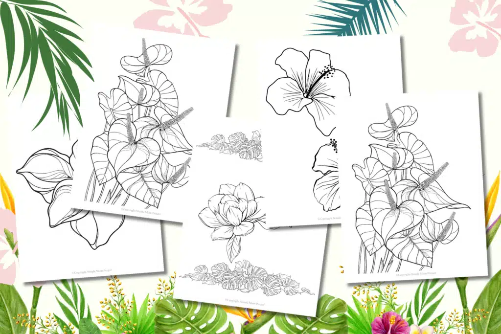 FLATLAY Hawaiian Coloring Pages FREE Printable Template for Kids
