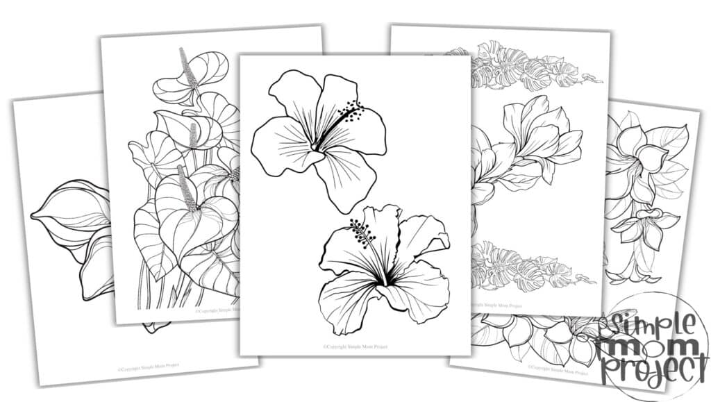 Hawaiian Tropical Flower Convertkit Free Printable Template for Kids
