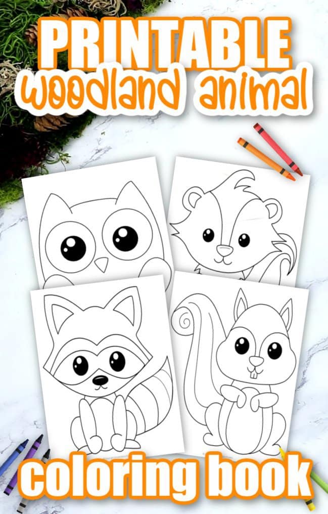 Printable Woodland Forest Animal Coloring Page Book for Kids Preschoolers Toddlers and kindergartners