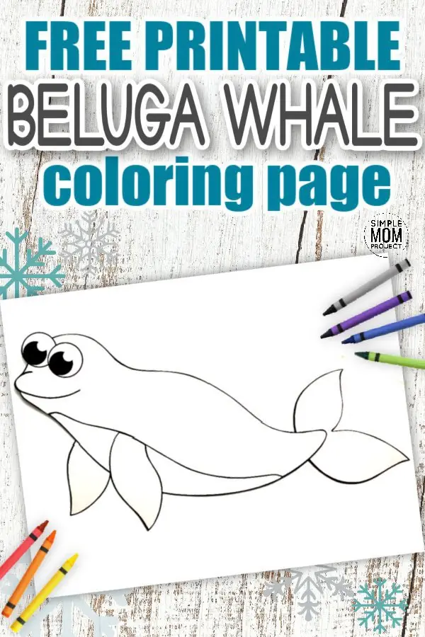 Free Printable Simple Arctic Animal Beluga Whale Coloring Page for kids preschoolers and toddlers 