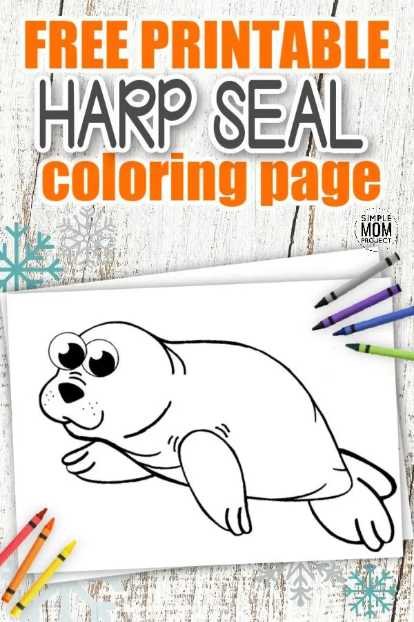 Free Printable Simple Arctic Animal Harp Seal Coloring Page for kids preschoolers and toddlers