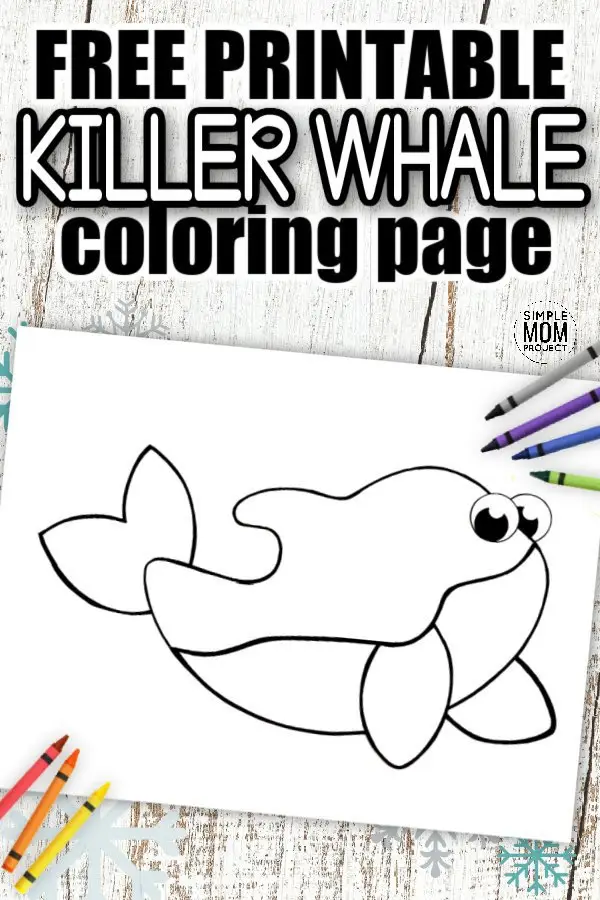 Free Printable Simple Arctic Animal Orca Coloring Page for kids preschoolers and toddlers