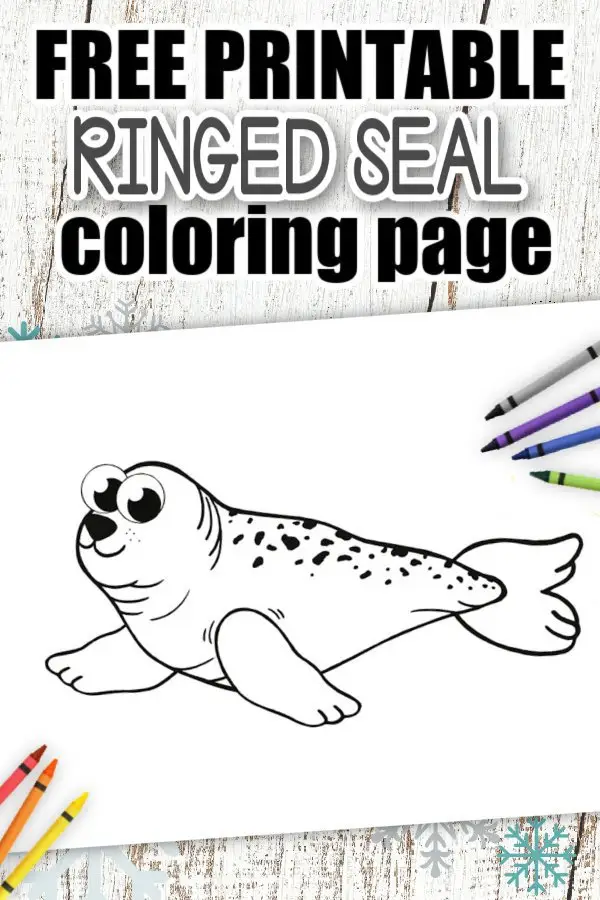 Free Printable Simple Arctic Animal Ringed Seal Coloring Page for kids preschoolers and toddlers