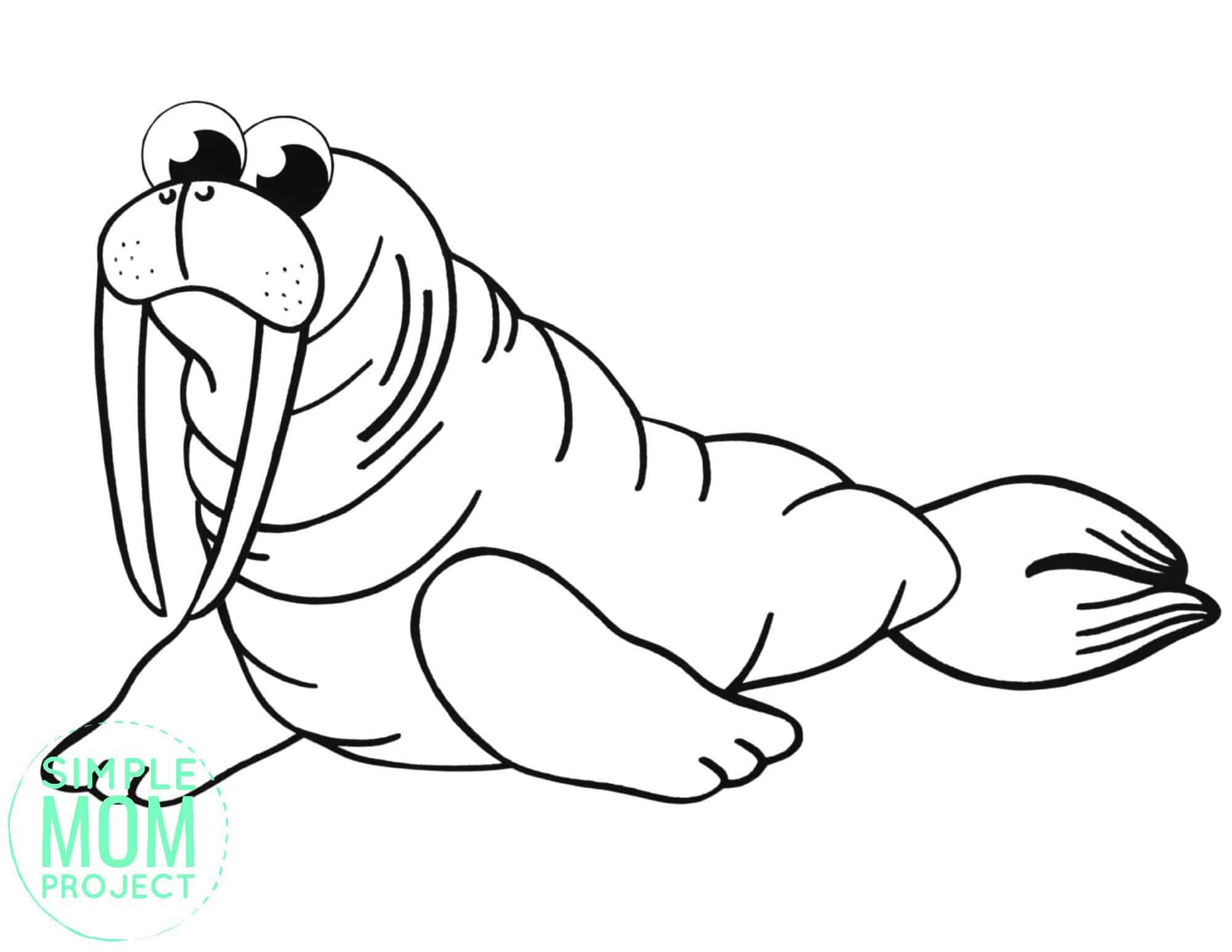 Free Printable Simple Arctic Animal Walrus Coloring Page for kids preschoolers and toddlers